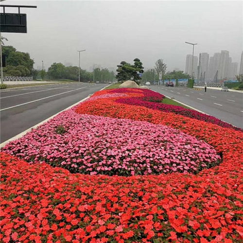 杭州園林綠化工程施工 如何確保價格合理與質量卓越