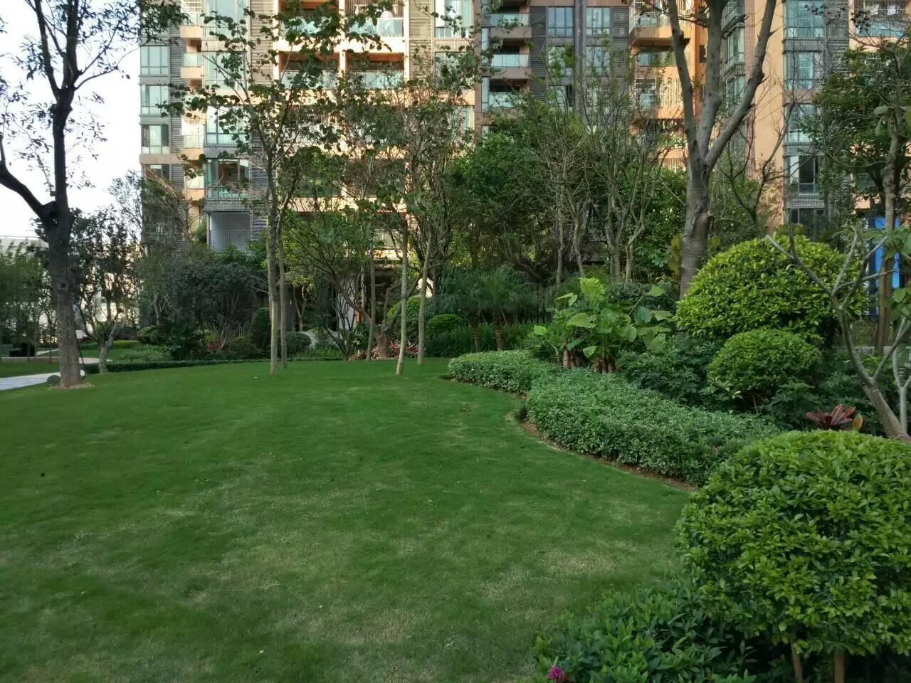 深圳園林工程施工現(xiàn)場管理 園林綠化工程施工的關鍵環(huán)節(jié)